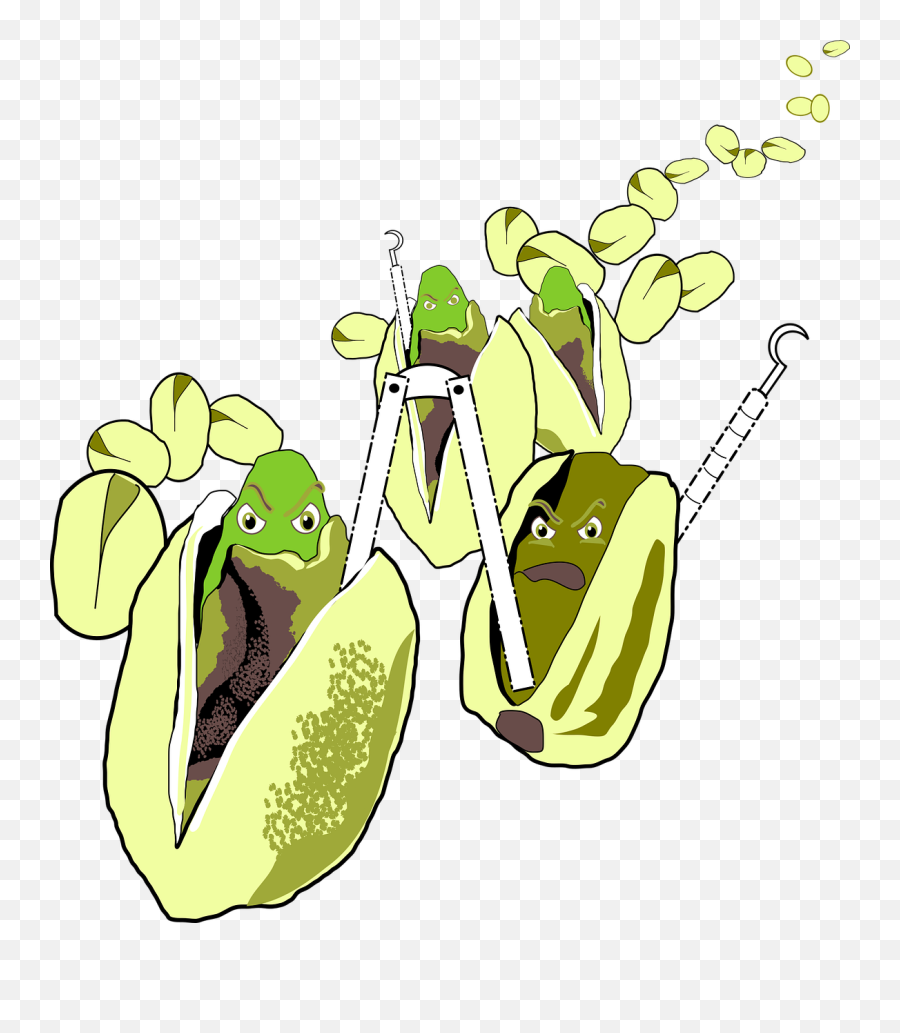 Free Photo Nuts Angry Mob Pun Humor Pistachios Pissed - Max Carnivorous Plant Emoji,Nuts Emoji