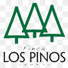 Logo Logo Logo - Pinos Para Logo Transparent Png Free Logo De 3 Pinos Emoji,Pino Emoji Vector