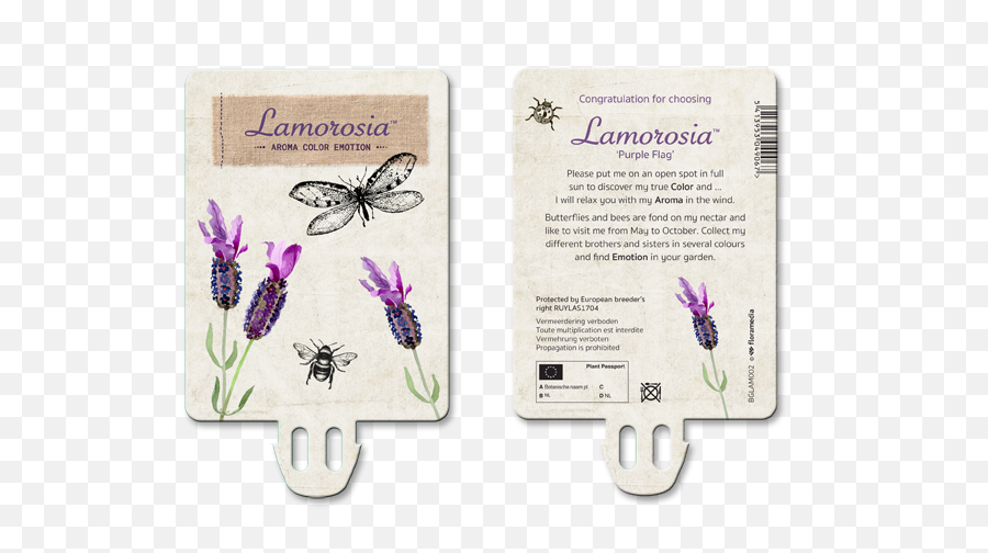Lavandula Lamorosia Aroma - Color Emotion Butterfly Emoji,Color And Emotion