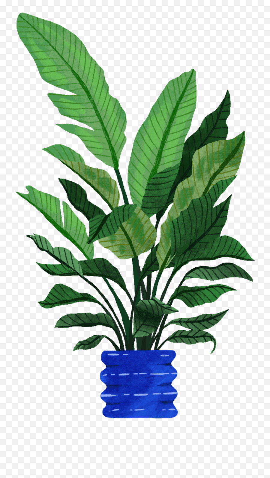 Bird Of Paradise Plant Care Guide Emoji,Plant Emoji In Pot