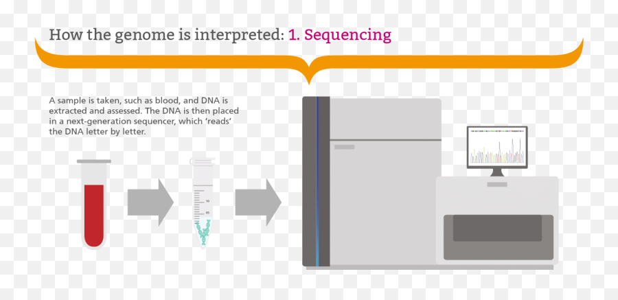 What Is Genomics - Genomics Education Programme Emoji,Emoji Sample Sequencer