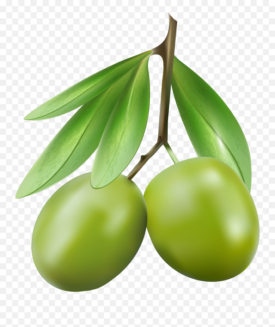 Green Olives Png Clipart - Olive Clipart Png Emoji,Olive Emoji