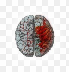 Cognitive Behavioral Therapy 1a Wellness - Brain Emoji,Emotions Vs Facts Practice For Students