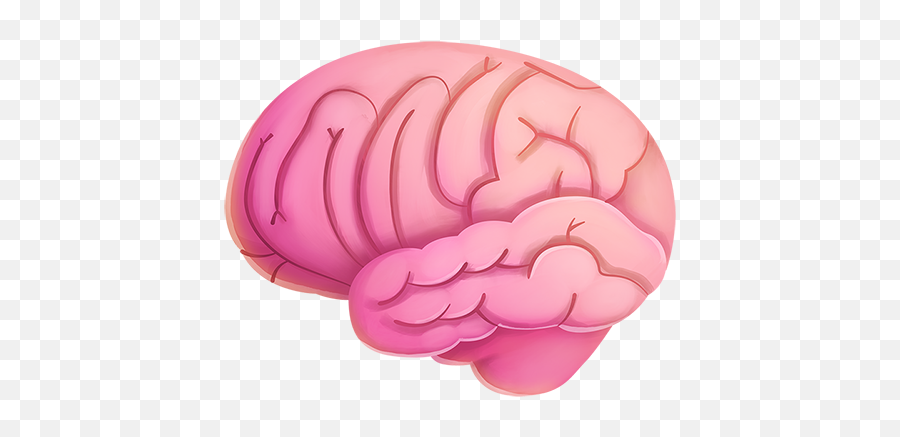 Yat Emoji Drop - Brain,Emoji Xpress Level 311 Answer