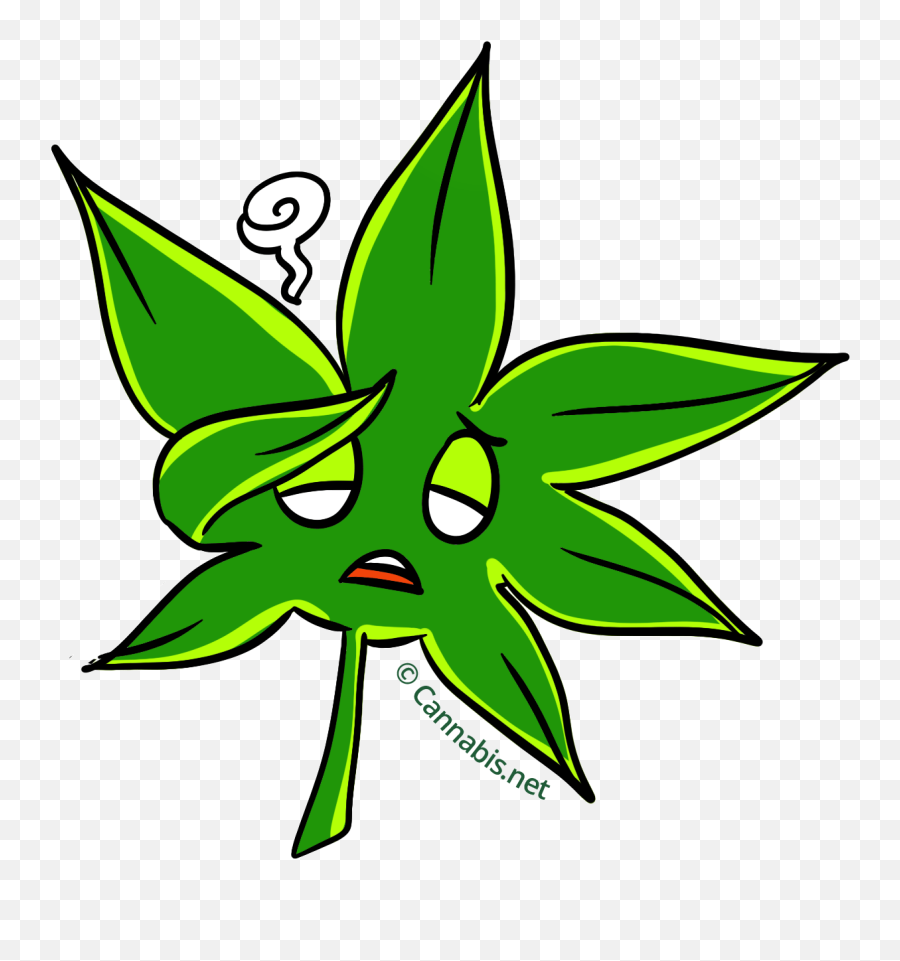 Marijuana Clipart Daun - Cannabis Png Download Full Size Language Emoji,Marjuana Emoji