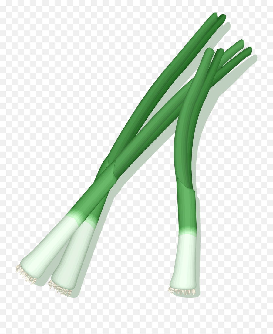 Green Onions Clipart - Spring Onion Clipart Png Emoji,Onion Emoticon