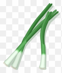 Green Onions Clipart - Spring Onion Clipart Png Emoji,Onion Emoticon