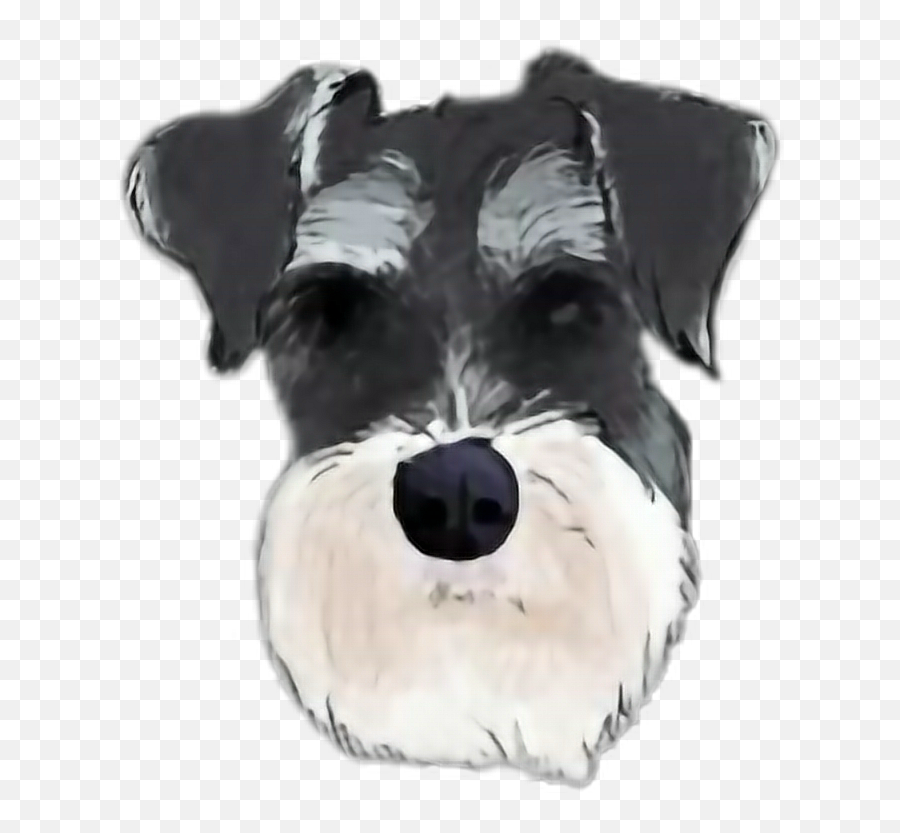 Schnauzer Sticker Stickers Sticker - Schnauzer Art Png Emoji,Schnauzer Emoji