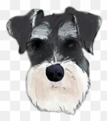 Schnauzer Sticker Stickers Sticker - Schnauzer Art Png Emoji,Schnauzer Emoji