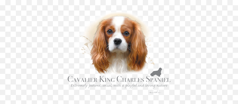 Cavalier King Charles Spaniel Heat Emoji,Cavalier King Charles Spaniel Sticker Emoji