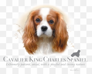 Cavalier King Charles Spaniel Heat Emoji,Cavalier King Charles Spaniel Sticker Emoji