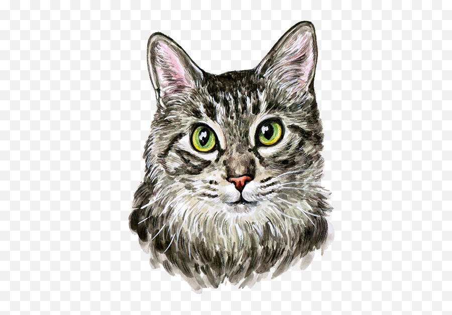 Hand Painted Watercolor Cute Cat Png - Domestic Cat Emoji,Grey Tabby Emojis