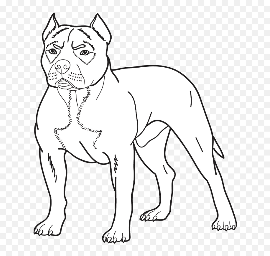 Medium Dog Breeds Dog Breeds List - American Pitbull Terrier Drawing Emoji,Terrier Dog Emoji Png