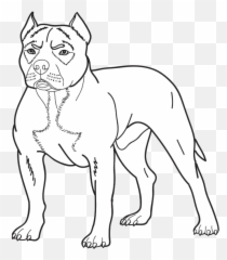 Medium Dog Breeds Dog Breeds List - American Pitbull Terrier Drawing Emoji,Terrier Dog Emoji Png