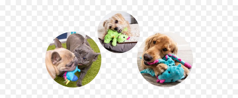 Godog U2013 Tough For Fun - Dog Toy Emoji,Emoji Squeaky Ball Dog