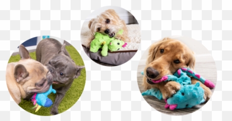 Godog U2013 Tough For Fun - Dog Toy Emoji,Emoji Squeaky Ball Dog