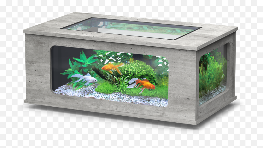 Aquatlantis Aquatable Coffee Table Fish Tank 100 X 63cm In Black White And Grey Emoji,Fishtank Emoticon For Facebook
