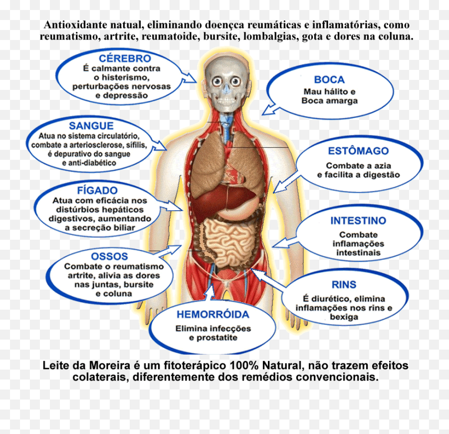 Dores De Cabeca Dores Musculares Fibromialgia Dores Portal Emoji,Emotions Para Dor D Cabeca