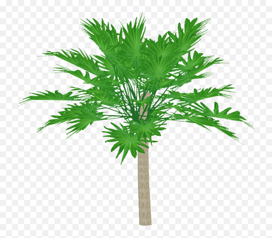 Categorypalms Zt2 Download Library Wiki Fandom Emoji,Palm Tree Island Emoji