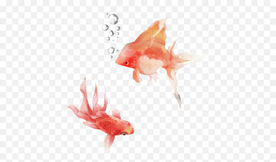 The Most Edited Lagun Picsart Emoji,Goldfish Emoji