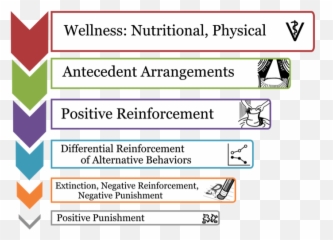 Animal Training Behavior Modification - Least Intrusive Minimally Aversive Emoji,Dog Emotion And Cognition