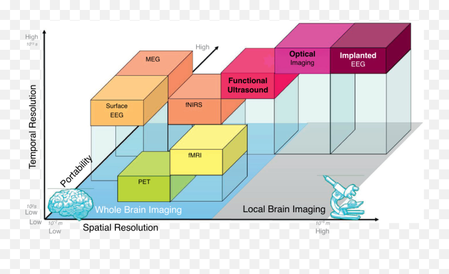 Functional Magnetic Resonance Imaging - Brain Imaging Techniques Resolution Emoji,Brain Scans Of Emotions