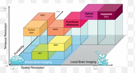 Functional Magnetic Resonance Imaging - Brain Imaging Techniques Resolution Emoji,Brain Scans Of Emotions