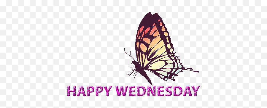 Happy Wednesday Gif Wednesday Quotes U0026 Wishes - Happy Wednesday Gif Emoji,Good Night Emoji Animated