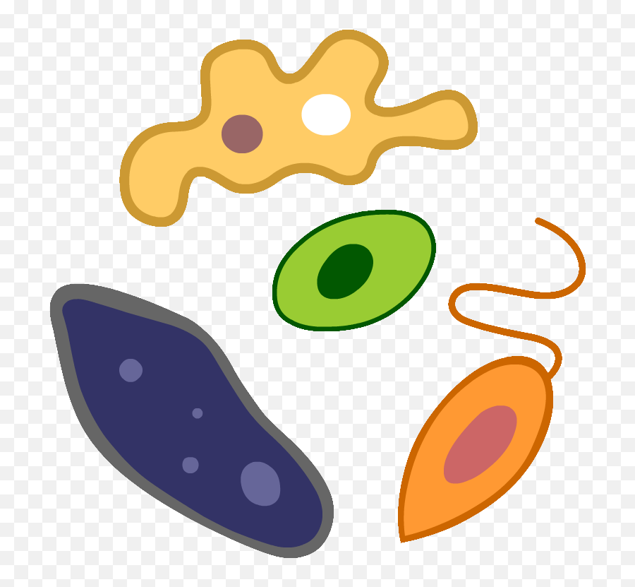 Protista Clipart - Png Download Full Size Clipart Protist Emoji,Downloadable Rose Emojis