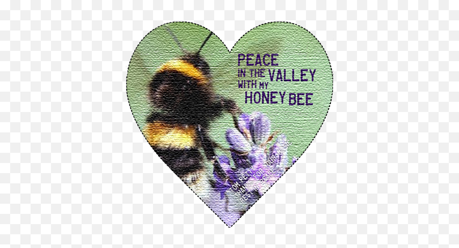 Tom Petty Songs Tom Petty Honey Bee - Tom Petty Honey Bee Quote Emoji,Sweet Emotion Bee Gees Lyrics