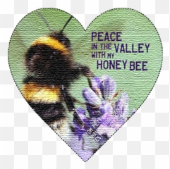 Tom Petty Songs Tom Petty Honey Bee - Tom Petty Honey Bee Quote Emoji,Sweet Emotion Bee Gees Lyrics