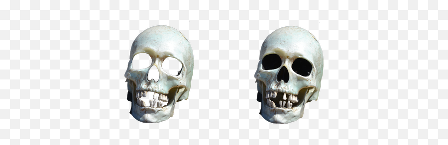 Free Photos Skeleton Pirate Search Download - Needpixcom Scary Emoji,Emotions Of A Skull