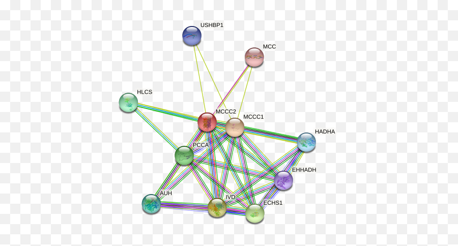 Mccc2 Protein Human - String Interaction Network Dot Emoji,Frequency Of Emotions Gaud