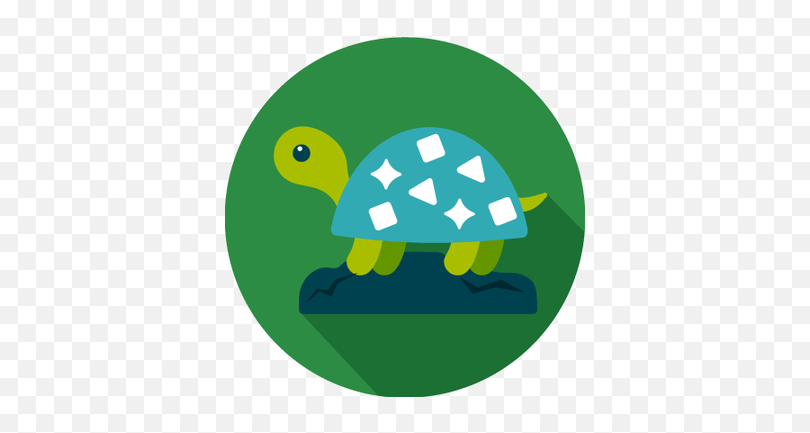 Newsletters - Stepup Nursery Dubai Emoji,Turtles Emoji