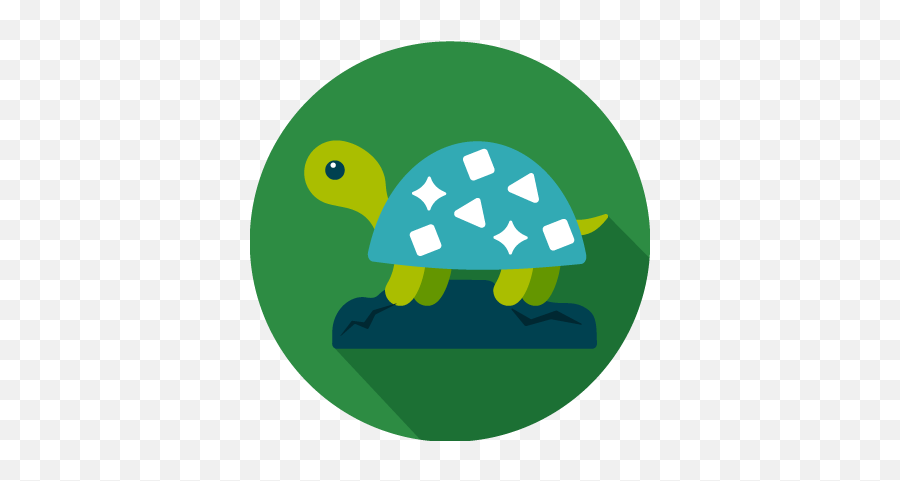 Newsletters - Stepup Nursery Dubai Emoji,Turtles Emoji Newsletters - Stepup Nursery Dubai Emoji,Turtles Emoji