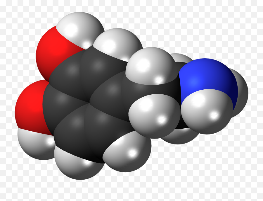 Dopamine Emoji,Emotions Constructed Homeostasis Lever