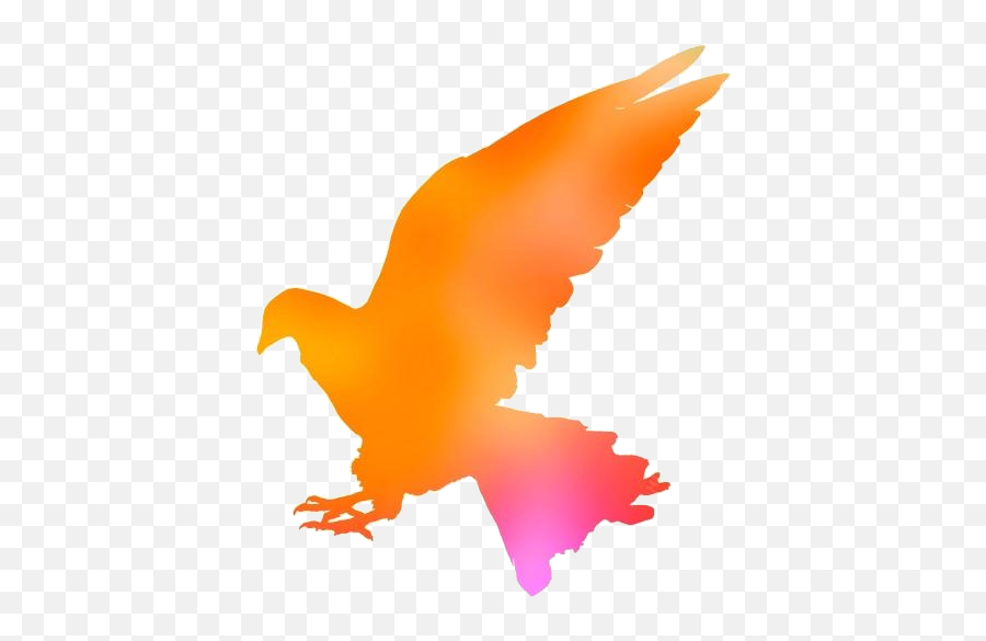 Eagle Hd Png Clipart Download Pngimagespics Emoji,Dove Emoji