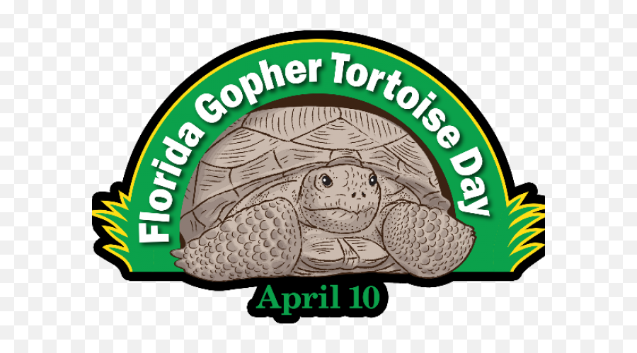 Turtoise Clipart Gopher Tortoise - Png Download Full Size Emoji,Tortis Emoji