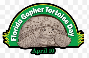 Turtoise Clipart Gopher Tortoise - Png Download Full Size Emoji,Tortis Emoji