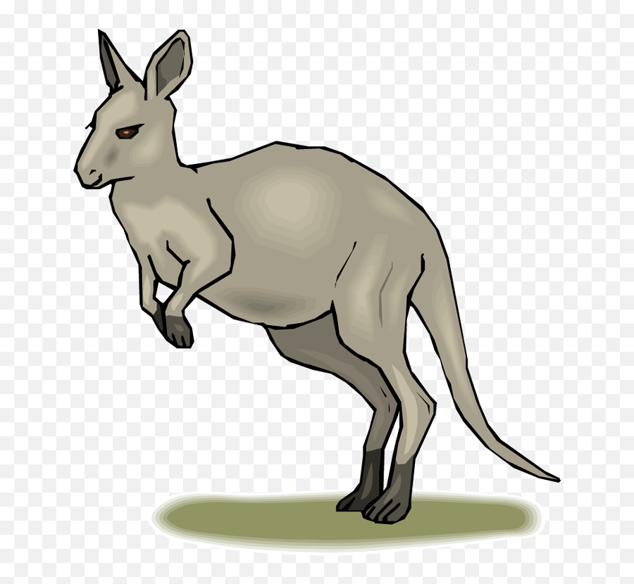 Habitat Map Clipart Kangaroo Clip Art - Eastern Grey Kangaroo Clipart Emoji,Kangaroo Emoji