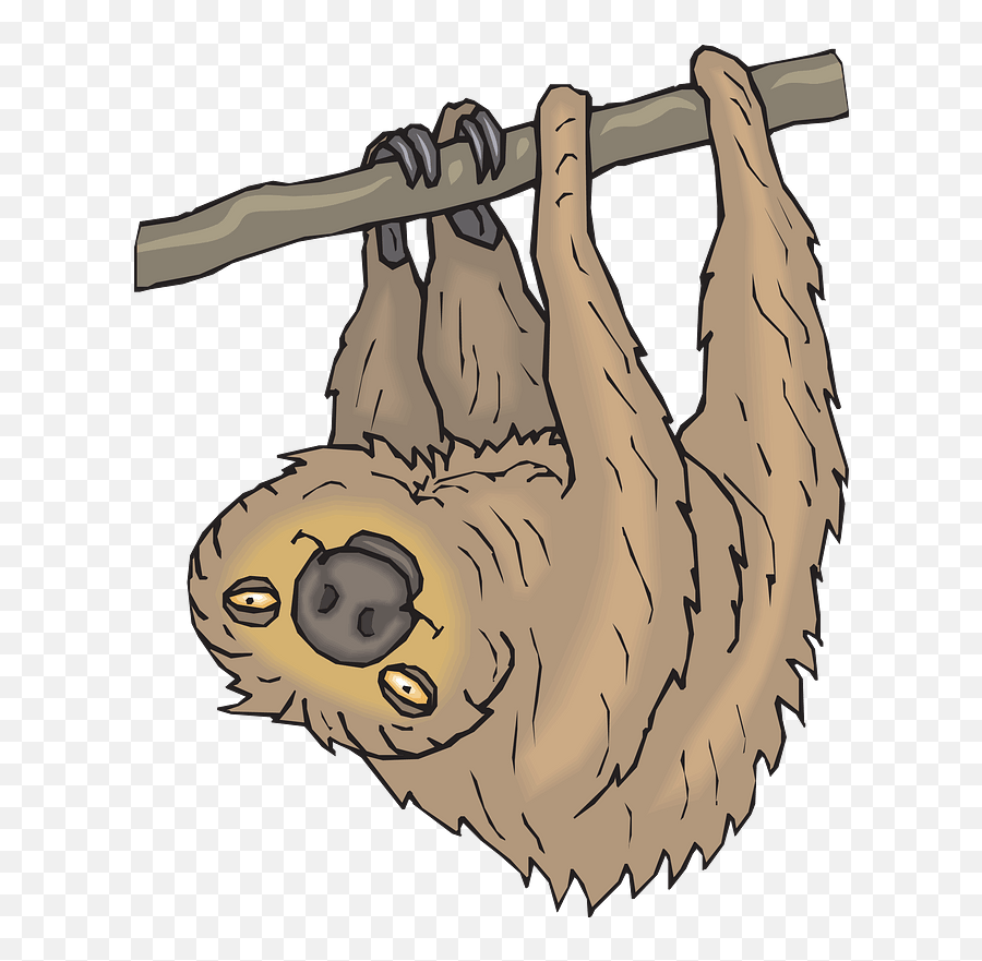 Sloth Hanging From Branch Clipart - Pygmy Sloth Emoji,Is There A Sloth Emoji