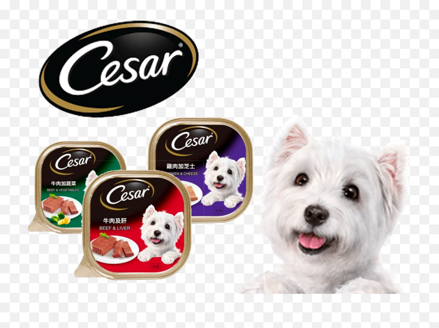 Find Your Favorite Brand Pet Master Singapore - Steak Dog Food Emoji,Westie Dog Emoticon