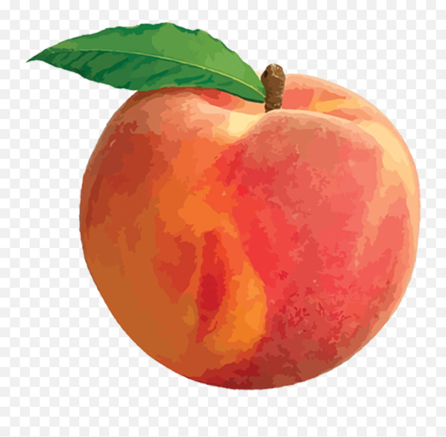 Peach Png Images Transparent Background Png Play - Transparent Background Peaches Clipart Emoji,Peach Emoji Png