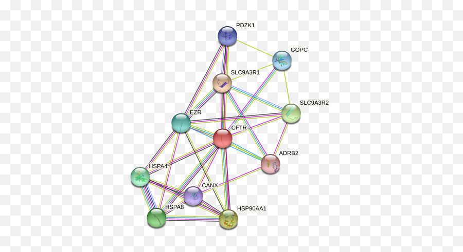 Cftr Protein Human - String Interaction Network Dot Emoji,Terminus Est Emojis