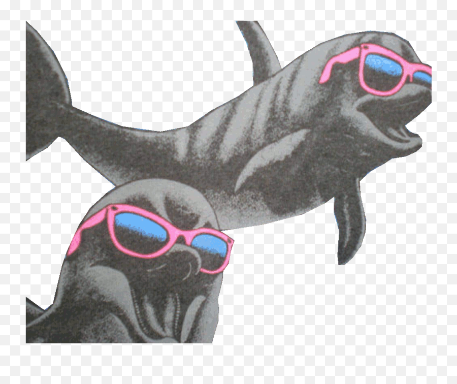 Call For More Dolphins Animals And - Dolphin No Background Gif Emoji,Miami Dolphins Emoji