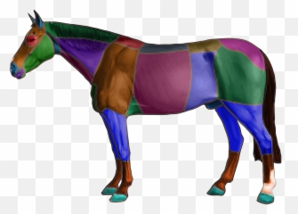 Injecting Your Horse Can Be Hazardous Know The Risks - Horse Emoji,Horse Facial Emotions