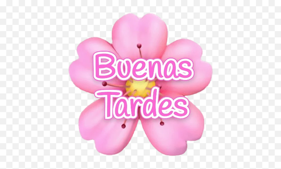 Telegram Sticker 6 From Collection Florcerezo Emoji,Buena Tarde Emoticon