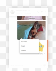 Channelizeio - Best Messaging Experience For Socialengine Teddy Emoji,Delete Emoji Keyboard