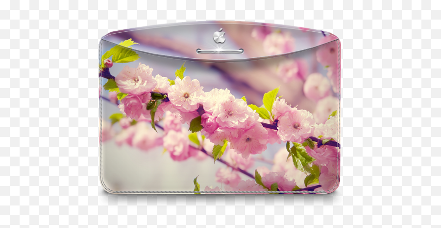 Folder Nature Cherry Tree Icon Darktheme Folder Iconset - Desktop Pink Flowers Hd Emoji,Cherry Blossom Emoji
