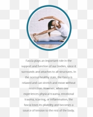 What Is Fascia Meta Physical Therapy - Language Emoji,Fascia Emotions